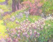 鸢尾花 - 威廉·查德威克